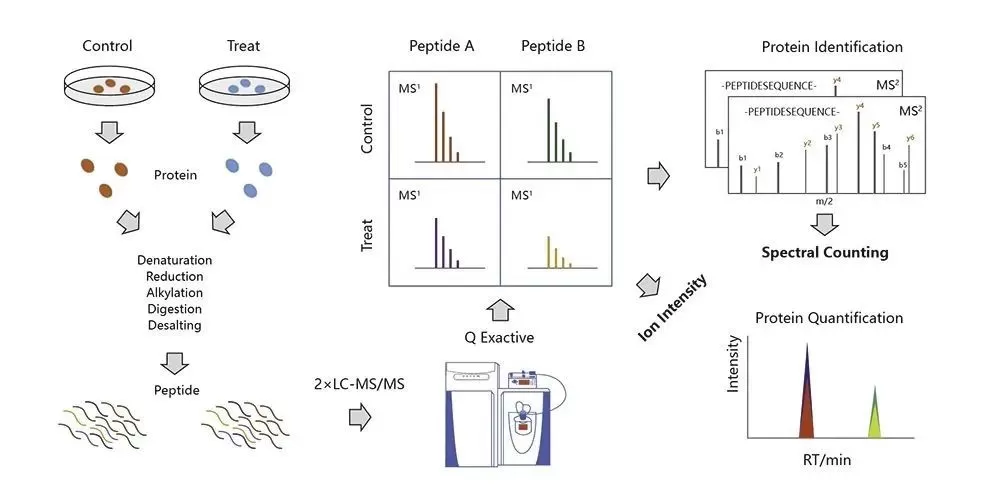 Figure 9: Label-free Protein Analysis Workflow